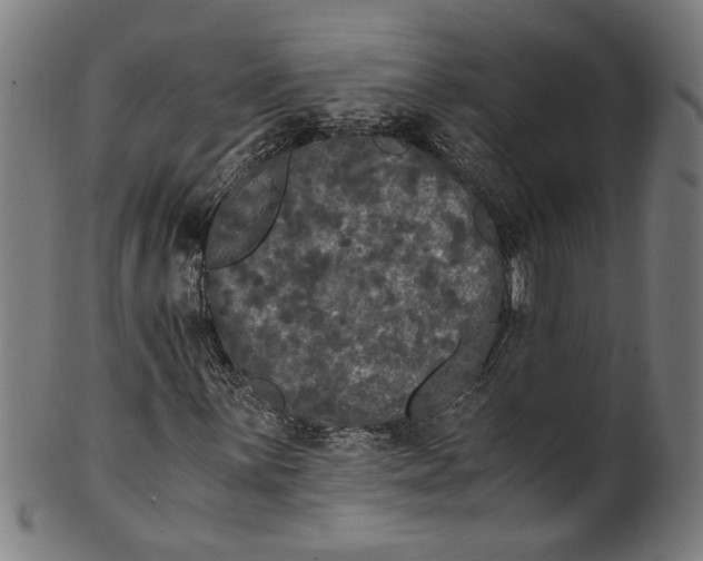 X0000100881059200807111336