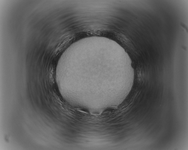 X0000100881060200807111336