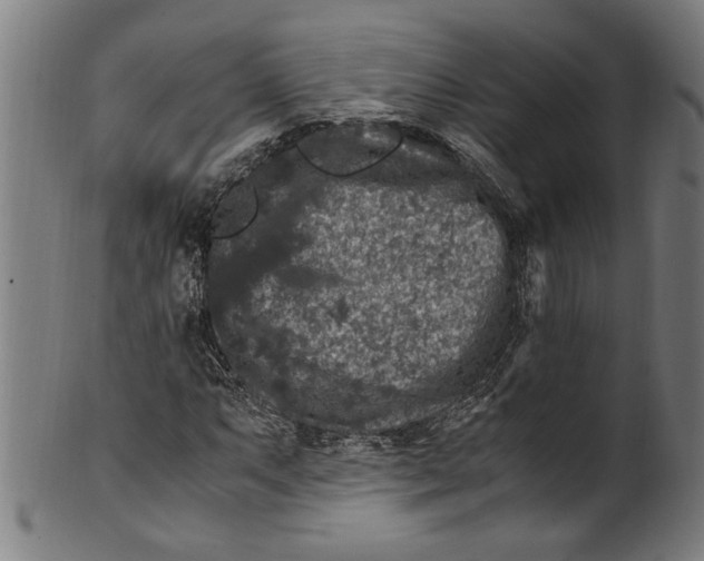 X0000100881063200807111336