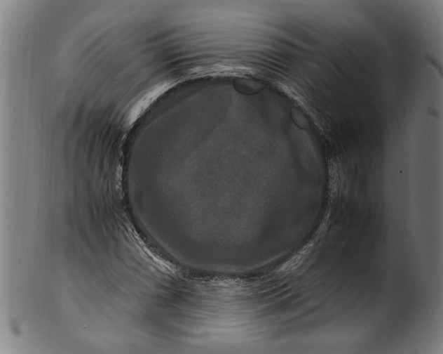 X0000100881066200807111336