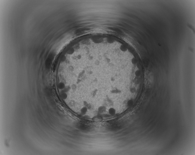 X0000100881067200807111336