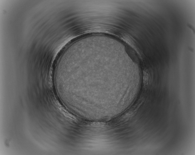 X0000100881068200807111336