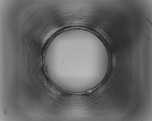 X0000100881069200807111336