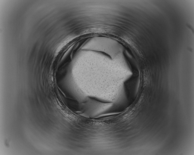 X0000100881070200807111336