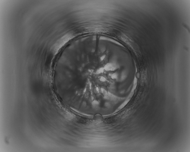 X0000100881071200807111336