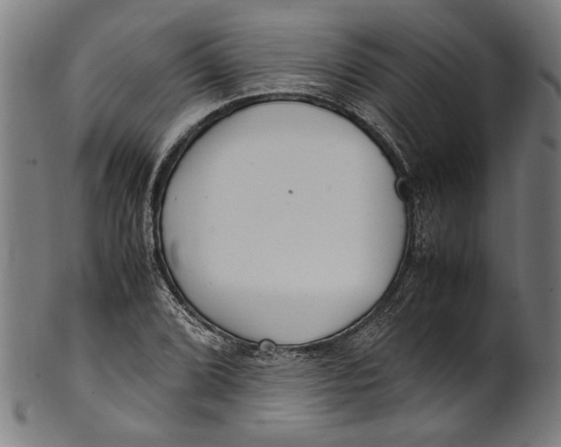 X0000100881072200807111336