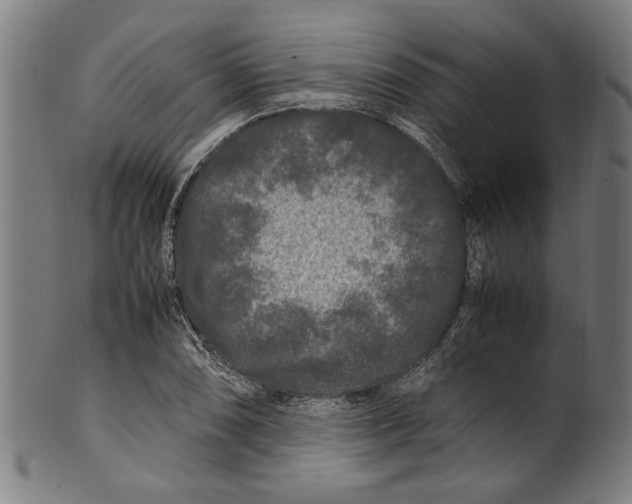 X0000100881074200807111336