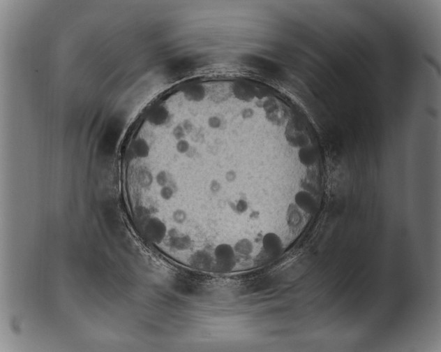 X0000100881075200807111336