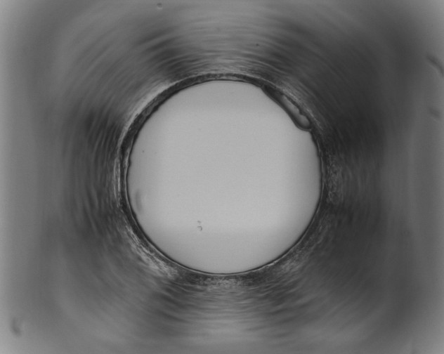 X0000100881076200807111336