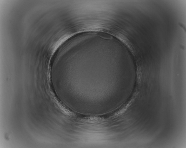 X0000100881077200807111336