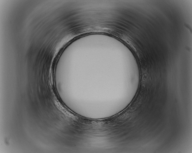 X0000100881080200807111336