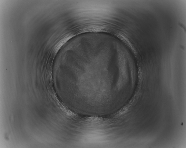 X0000100881081200807111336