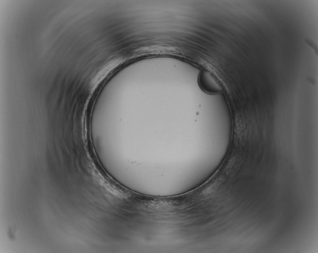 X0000100881082200807111336