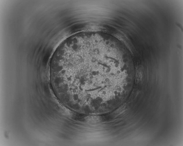 X0000100881083200807111336