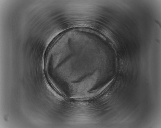 X0000100881084200807111336