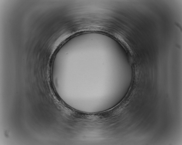 X0000100881085200807111336