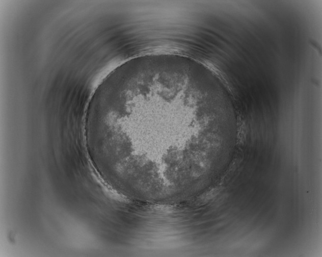 X0000100881086200807111336