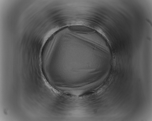 X0000100881088200807111336