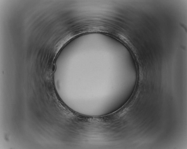 X0000100881089200807111336