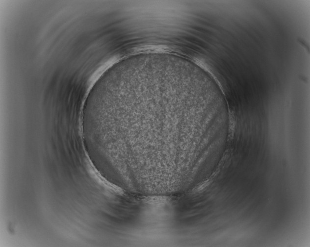 X0000100881090200807111336