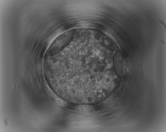 X0000100881091200807111336