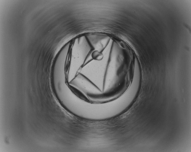 X0000100881093200807111336