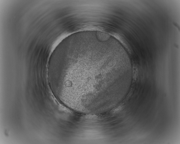 X0000100881094200807111336