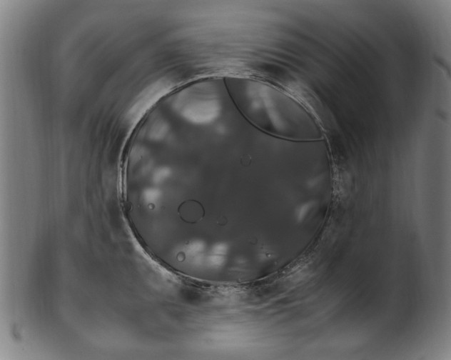 X0000100881095200807111336