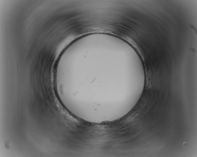 X0000100881096200807111336