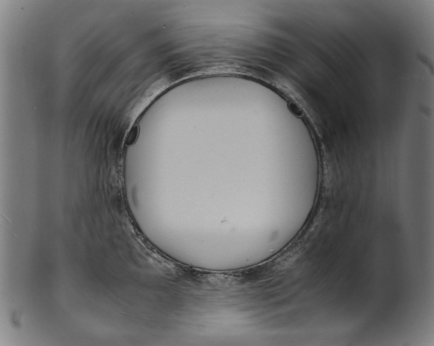 X0000100881097200807111336