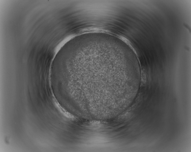 X0000100881098200807111336