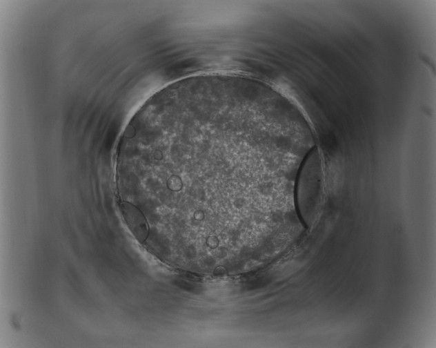 X0000100881099200807111336