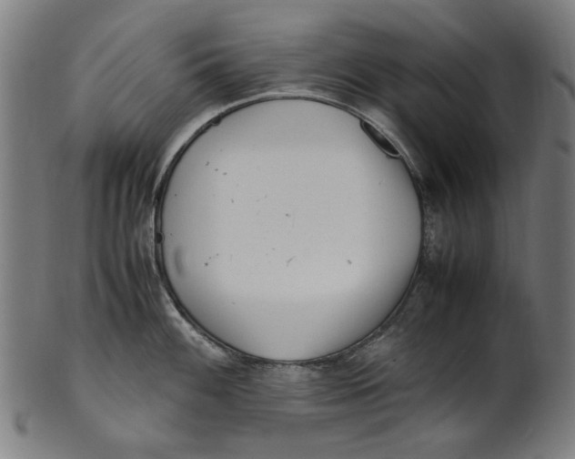 X0000100881100200807111336