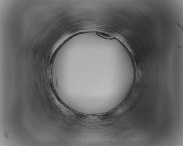 X0000100881101200807111336