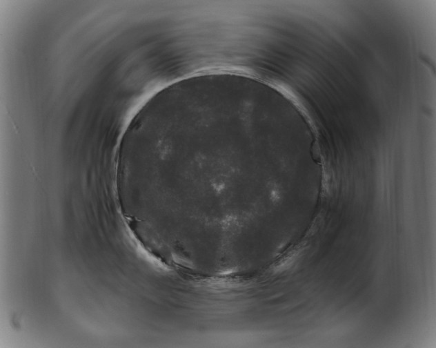 X0000100881102200807111336