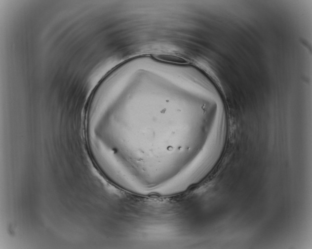 X0000100881103200807111336