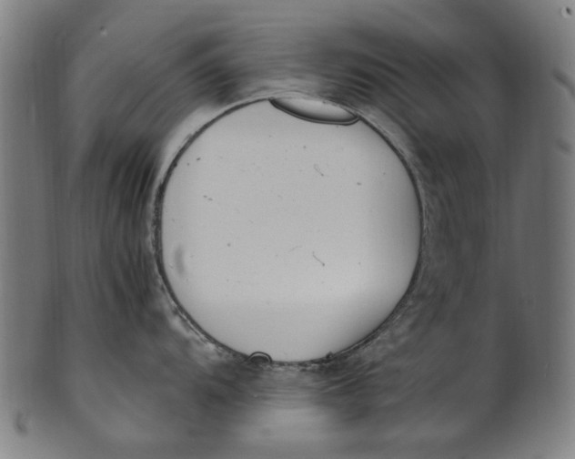 X0000100881104200807111336