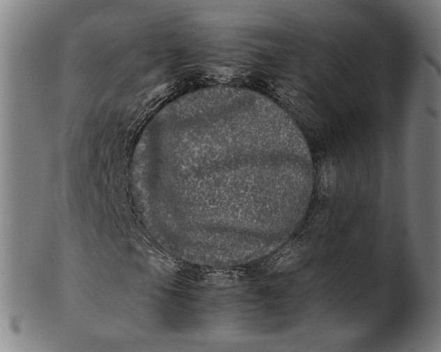 X0000100881105200807111335