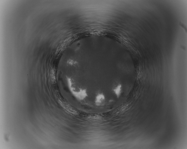 X0000100881106200807111335