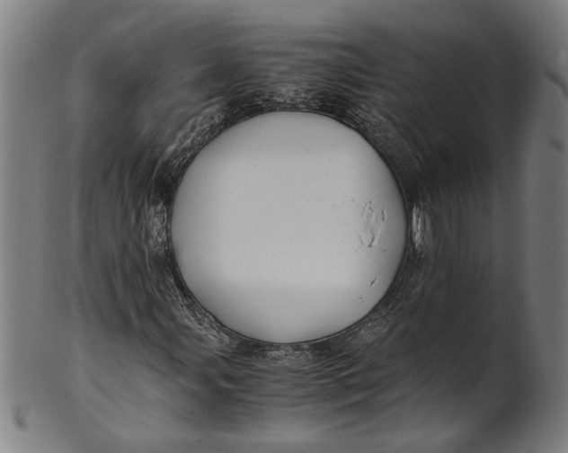 X0000100881107200807111335