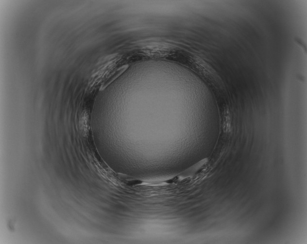 X0000100881108200807111335