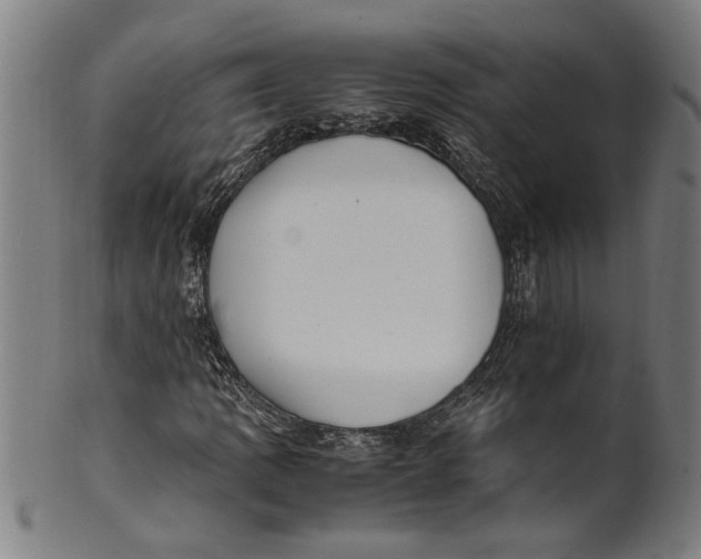 X0000100881109200807111335