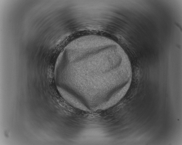 X0000100881110200807111335