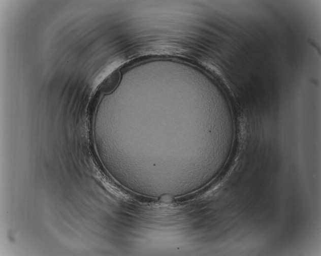 X0000100881114200807111335