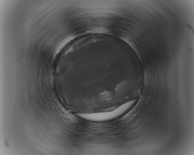 X0000100881115200807111335