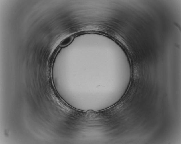 X0000100881116200807111335