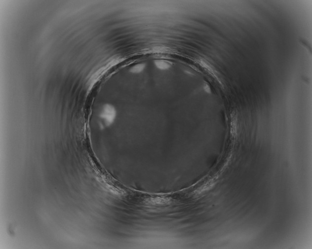 X0000100881117200807111335