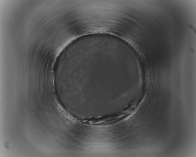 X0000100881118200807111335