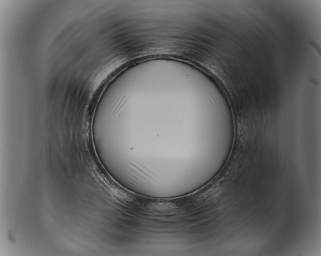 X0000100881119200807111335