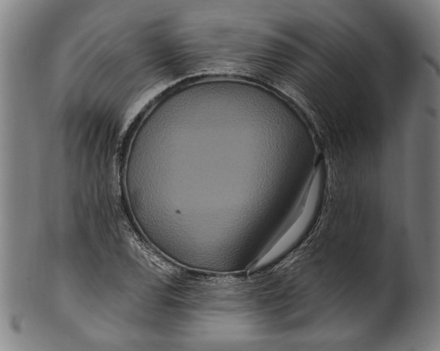 X0000100881120200807111335